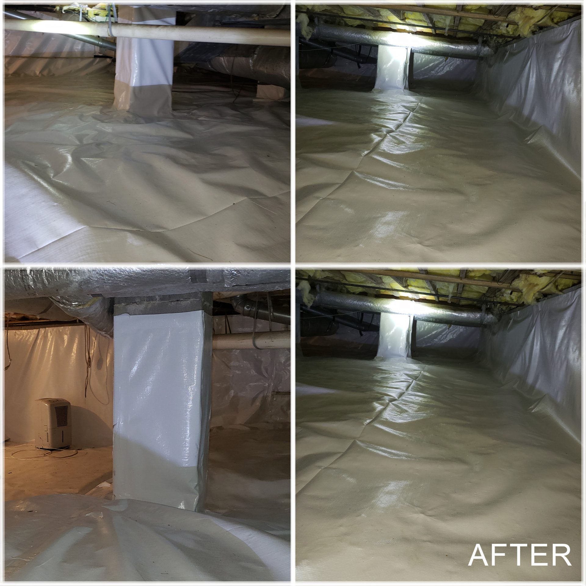 A Completed Under Crawl Encapsulation by Pest Shield